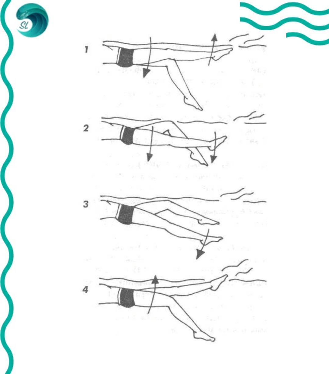 Техника плавания кролем на спине движение ног