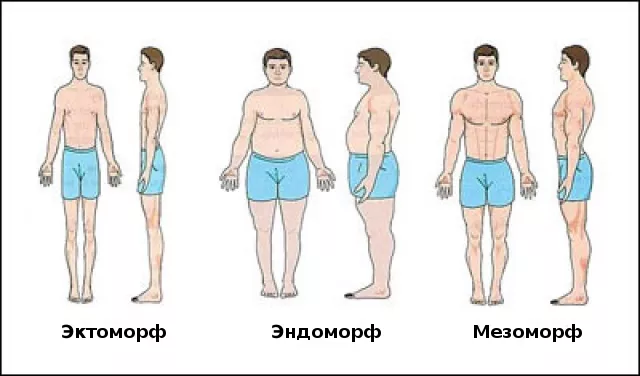 Типы фигур у мужчин фото с названиями и описанием